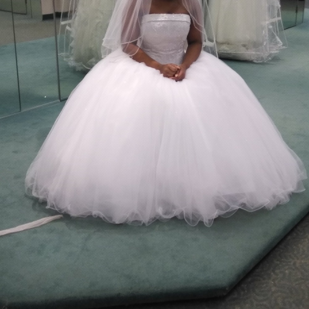 Ball Gown Wedding dress (dress only)